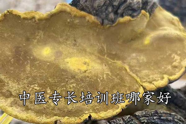 六盘水中医专长培训班哪家好