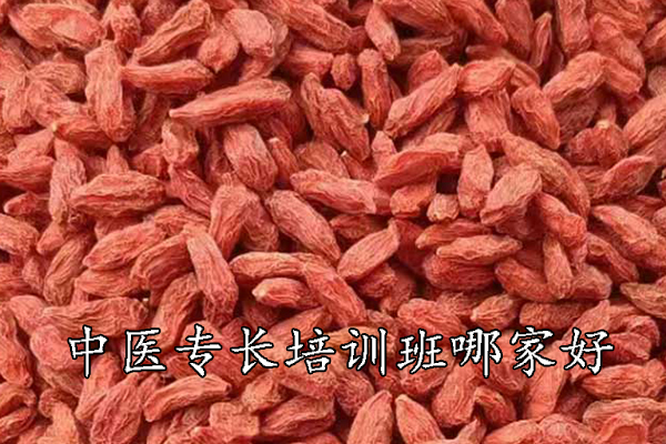 遵义中医专长培训班哪家正规