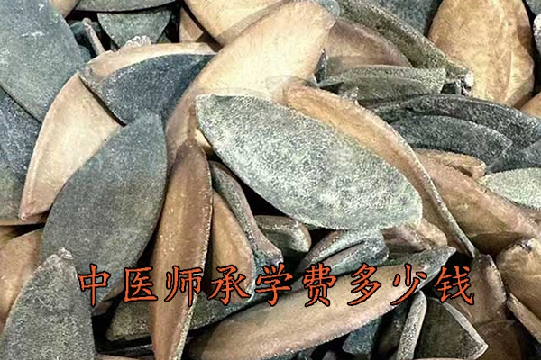 驻马店中医师承学费多少钱