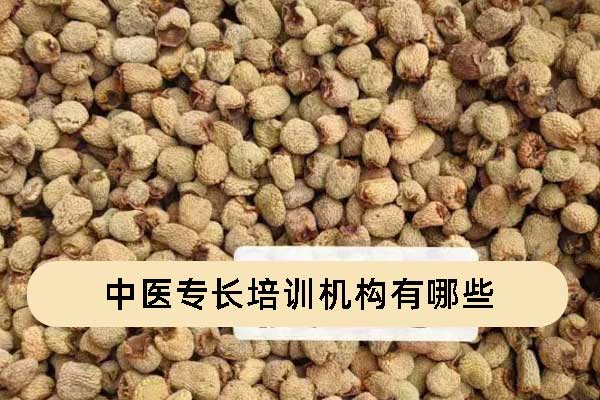 红河中医专长培训机构有哪些