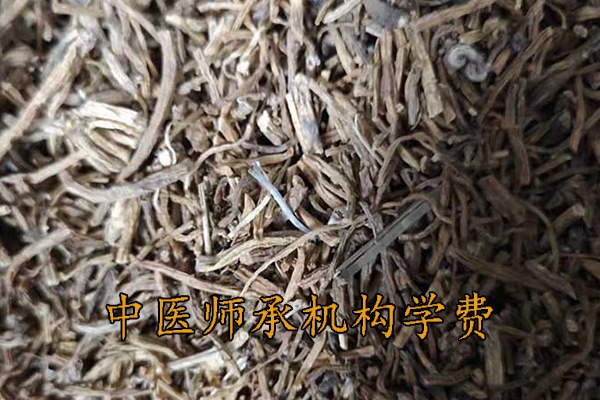 漯河中医师承学费一年多少钱