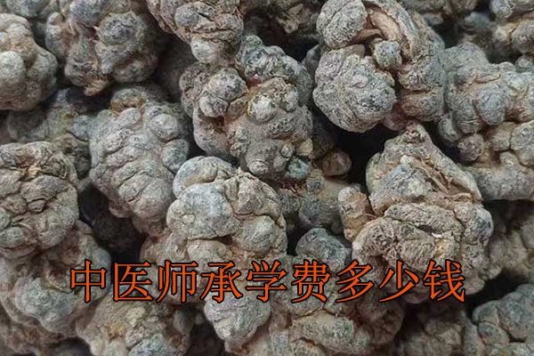 长沙中医师承学费多少钱