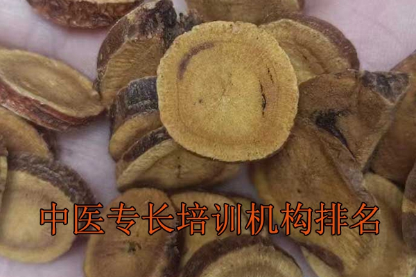 大理中医专长培训机构排名前十