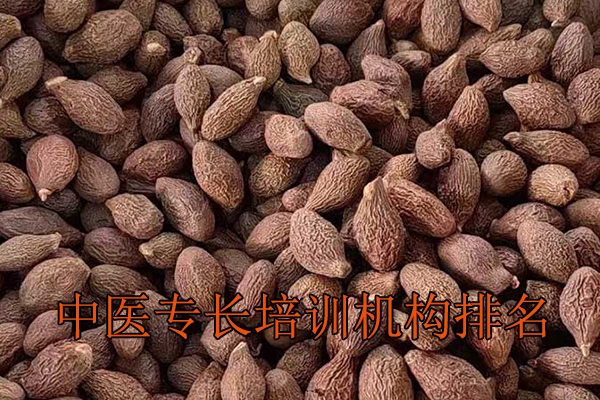 西安中医专长培训哪家好