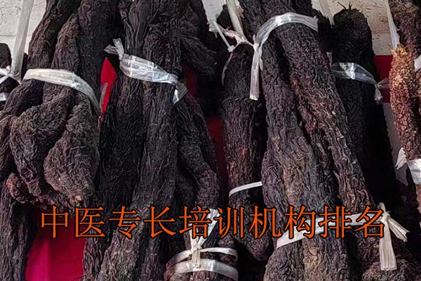 榆林中医专长培训班哪家好