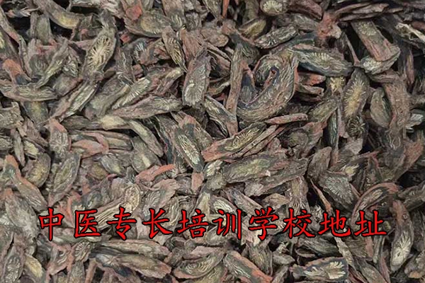 渭南中医专长培训学校地址