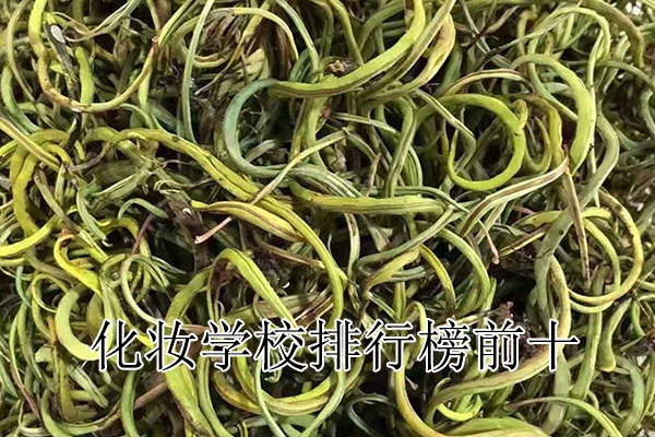 郴州中医师承学费一年多少钱