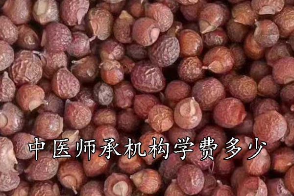 攀枝花中医师承学费多少钱