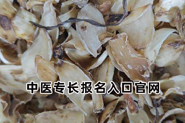 中医专长报名入口全国是统一的吗？