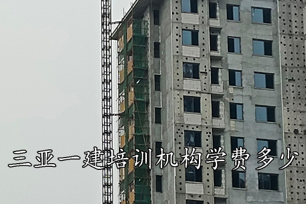 07.jpg