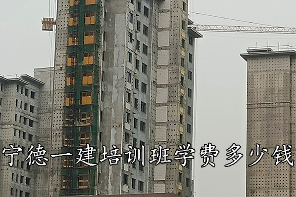01.jpg