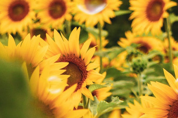 学幼师有用吗？就业前景怎么样？