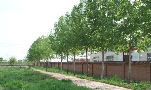 沧州中专技校有哪些？