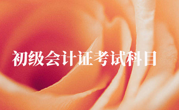 初级会计证考试科目