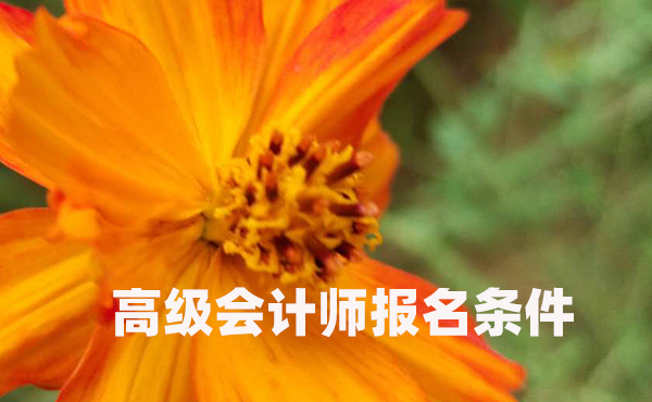 考取高级会计师是否需要中级证书(图1)