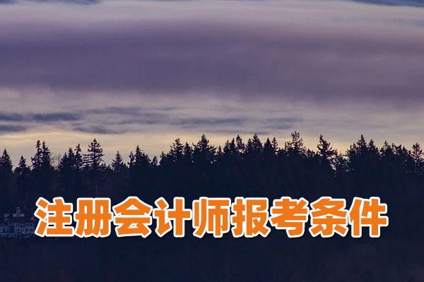 注册会计师的报考条件