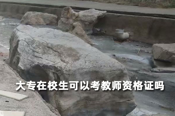 大专在校生可以考教师资格证吗