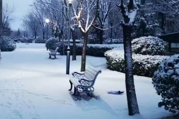 考研中单独考试和推荐免试是什么意思?