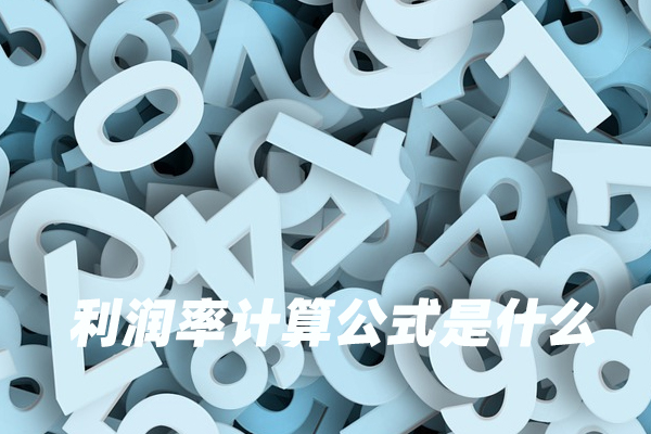 利润率的计算公式