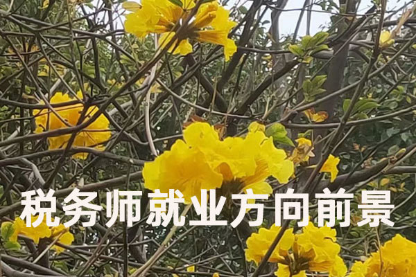 税务师就业方向前景_就业单位